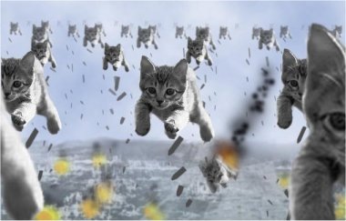 chat