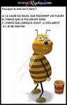 abeille !