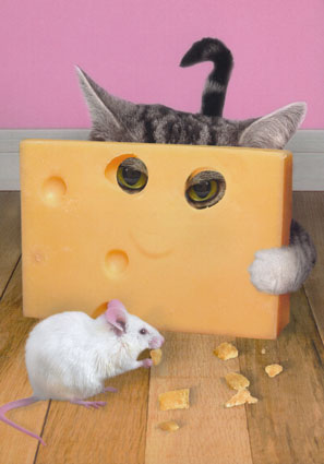 fromage
