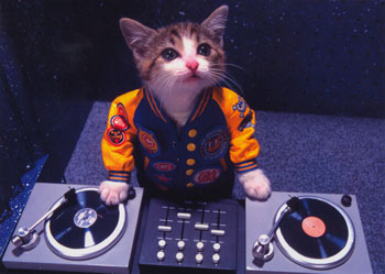 DJ